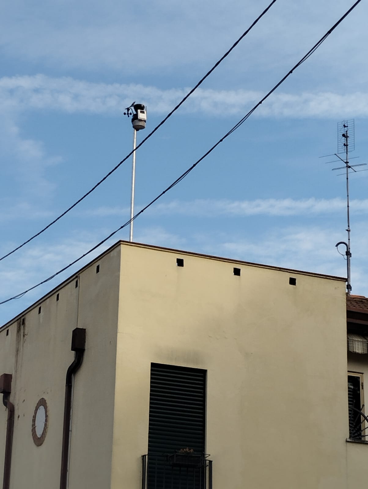 Arcella 1