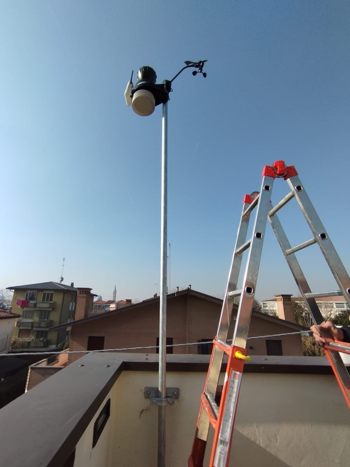 Arcella 7